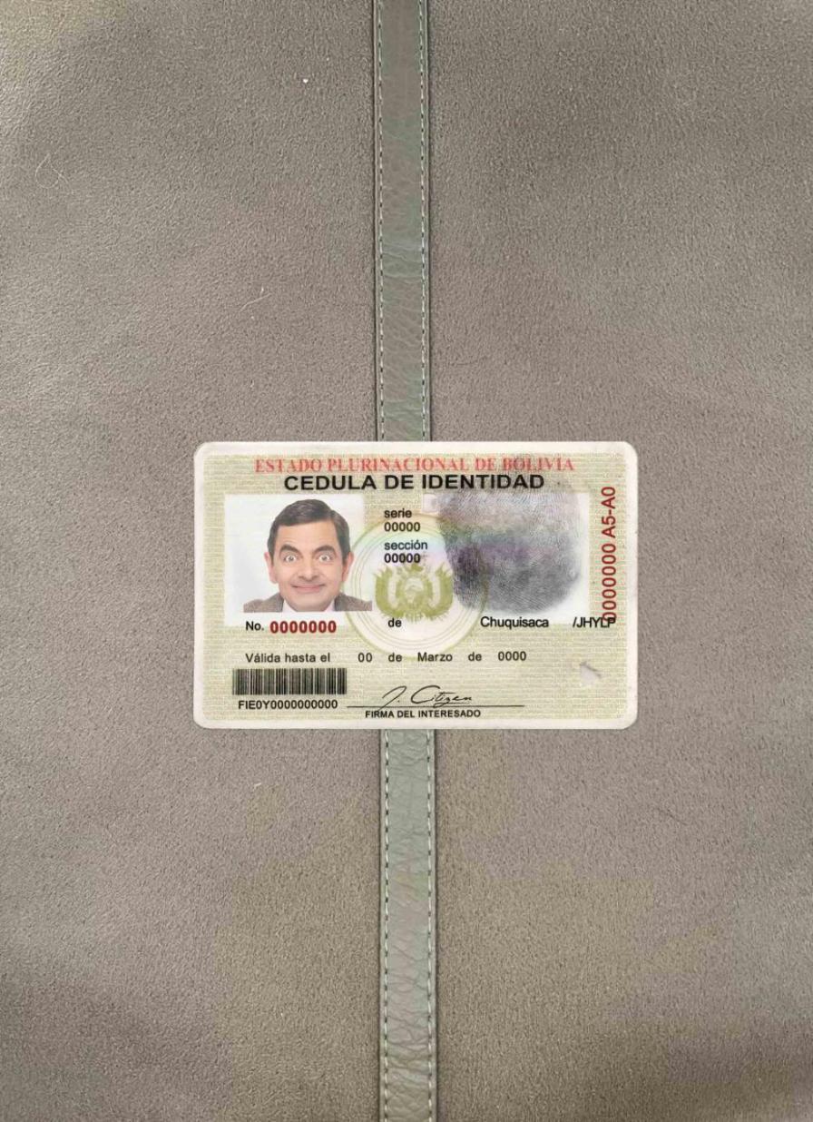 Downloadable Bolivia ID photolook template